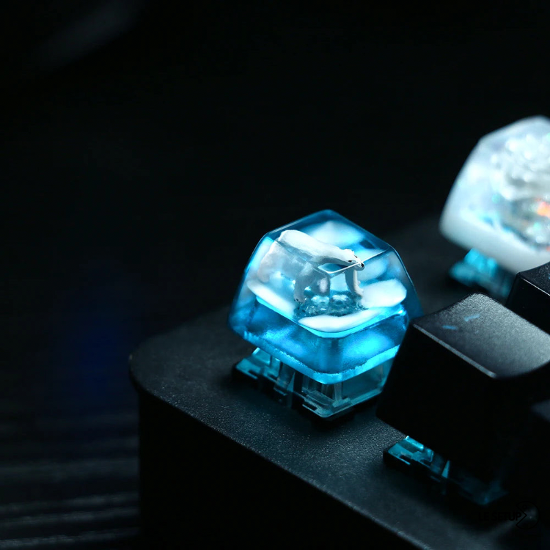 Keycap Ours Polaire